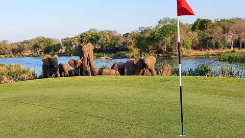 photo: The Sun - Skukuza Golf Course