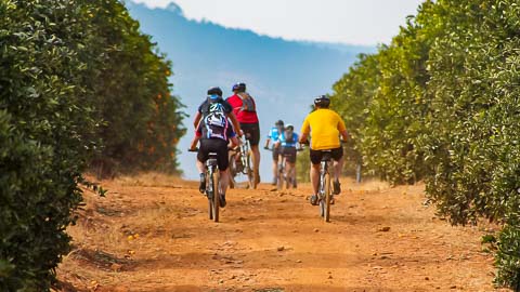 Activities & Adventures close to Sanbonani Resort