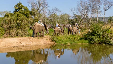 Activities & Adventures close to Sanbonani Resort