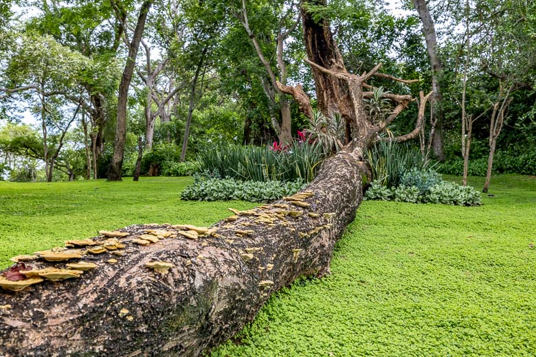 Sanbonani Resort - Contact Information