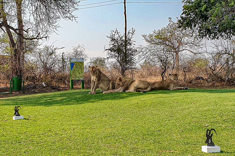 photo - Skukusa Golf Course