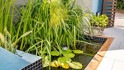 Sanbonani Resort Spa & Wellness Centre